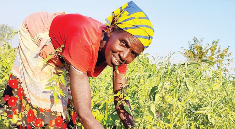 Livelihood project gives Salima community hope