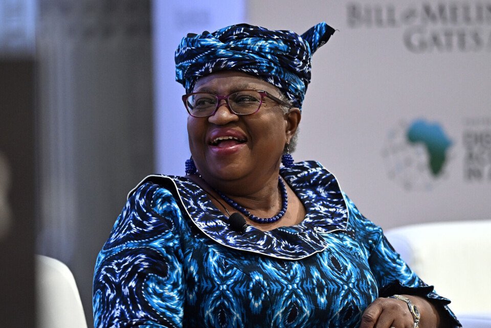 Malawi to benefit from WTO investment facility