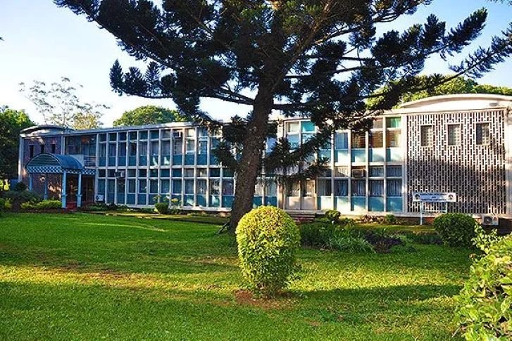 Admarc on Life Support: The Company Needs K144 Billion From Malawians to Still be Alive