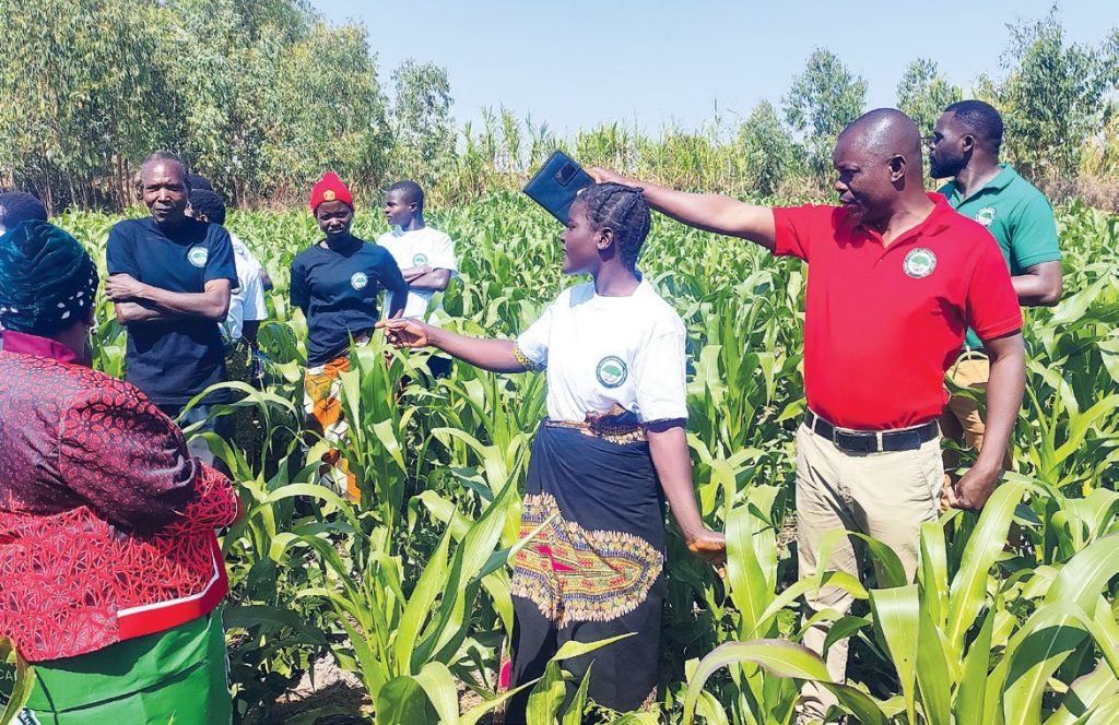 Neef registers K1.4 billion loss