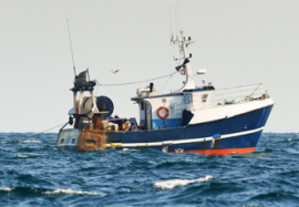 South Africa intercepts four Chinese fishing vessels violating EEZ rules
