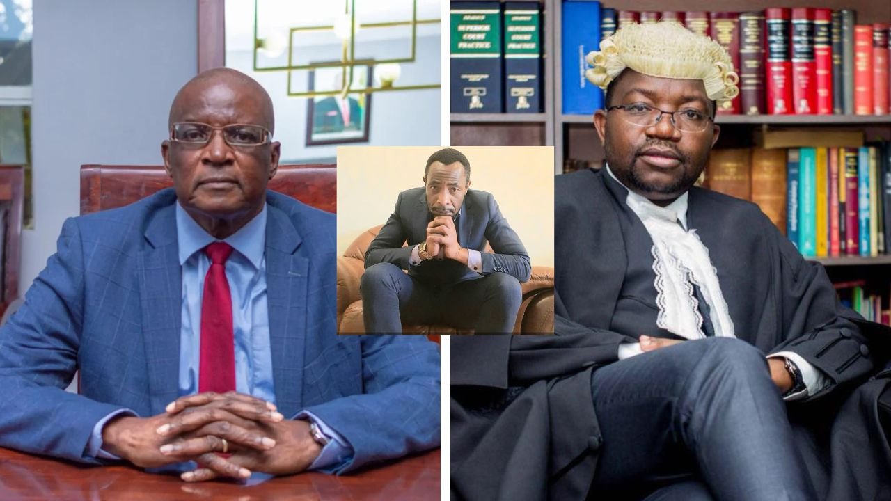 Top lawyers demand retractions from Wafawarova over US$20m ‘cabal’ claims