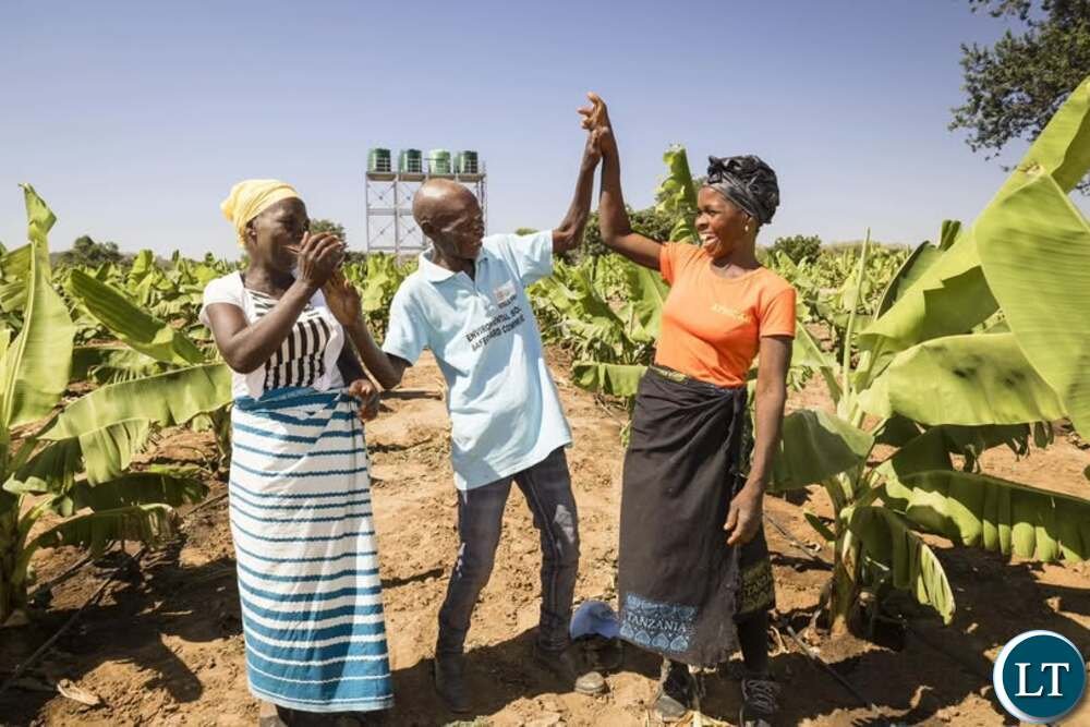 Kanchibiya stakeholders cite agroforestry knowledge gap, unemployment