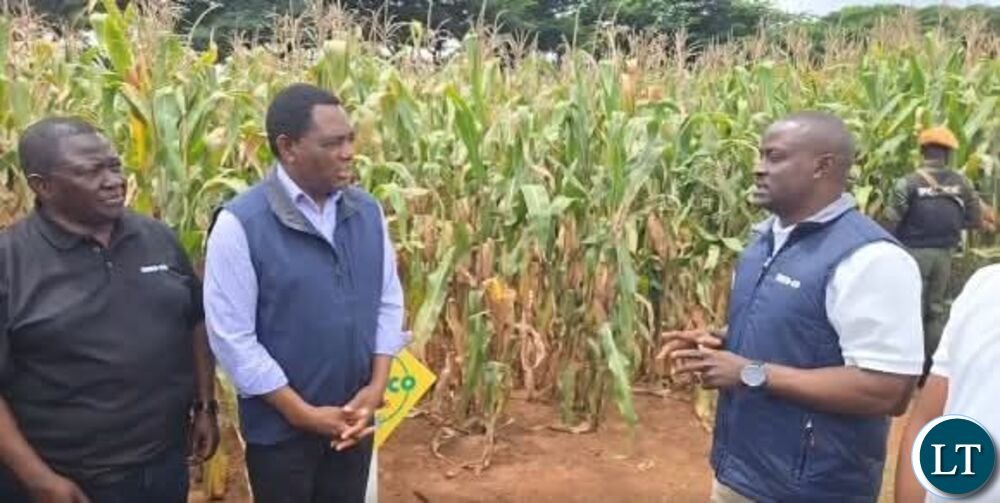 President Hichilema urges farmers to secure their...
