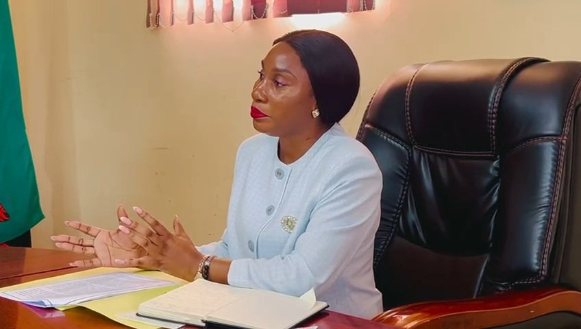 Vietnam sees strong growth potential in Zambia’s agriculture sector