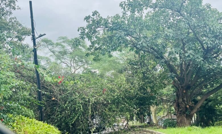 Watch: Severe storms batter Durban and Pietermaritzburg