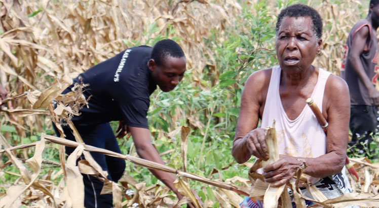 Farmers frown at maize prices