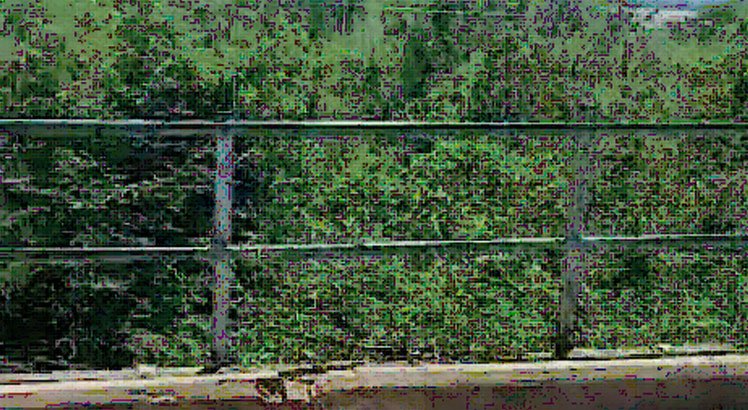 Chia Bridge blockage raises mobility, ecological alarm