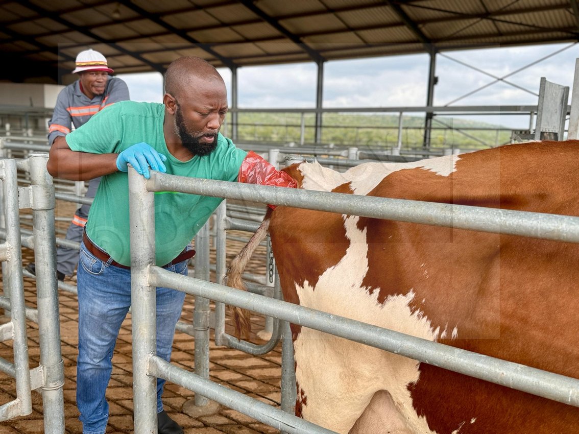 FMD outbreak delays Milk Valley