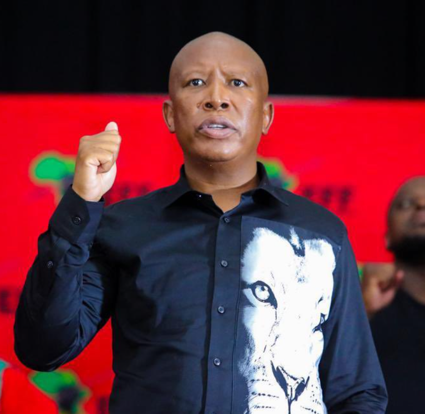 Musa Khawula ordered to apologise to Malema or face 30 days in jail