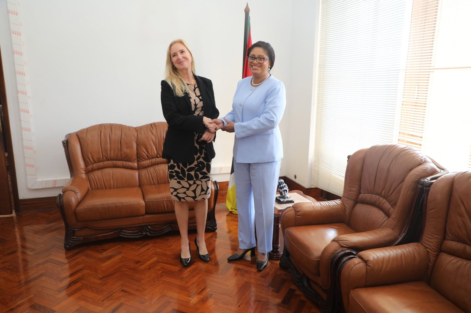 Mozambique: Finance Minister receives UNICEF and Millennium BIM representatives in Maputo
