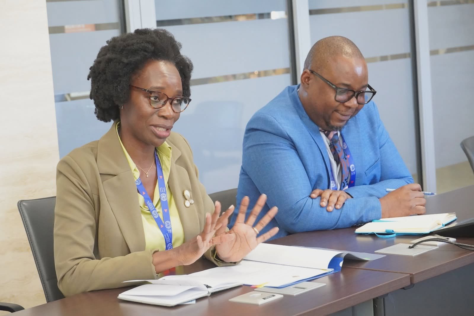 Mozambique: Technology can create jobs for young people – minister