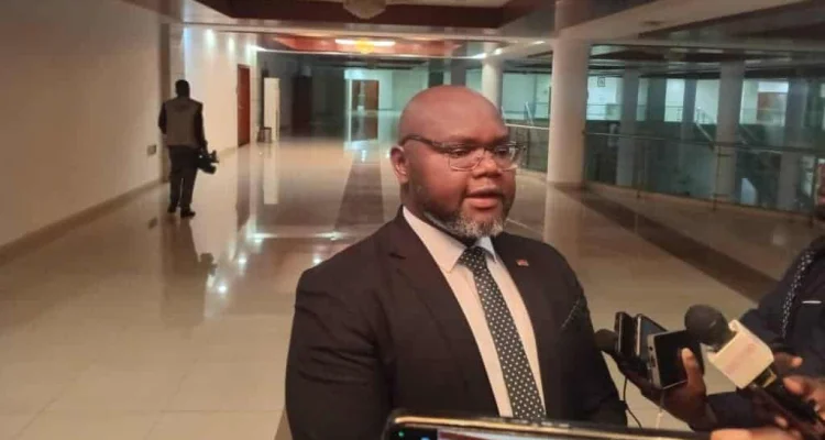 Alexander Maseko: Malawi permits boss nabbed