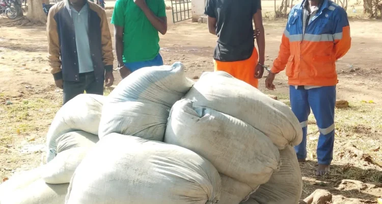 Four Portland Cement employees arrested over K1 million cement theft