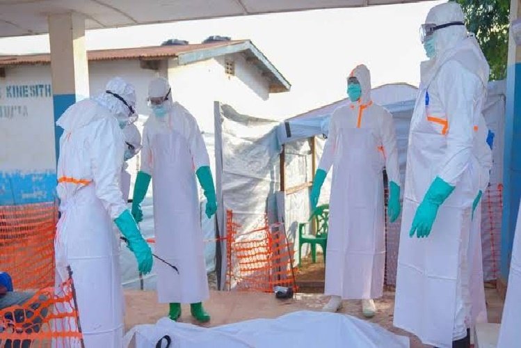 Congo regista mais de 100 mortes por Ébola