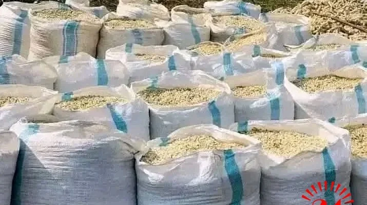 Farmers to get K900/kg as ADMARC opens maize buying on June 1