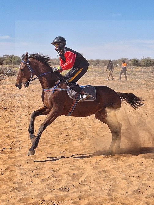 King of Satim claims top honours