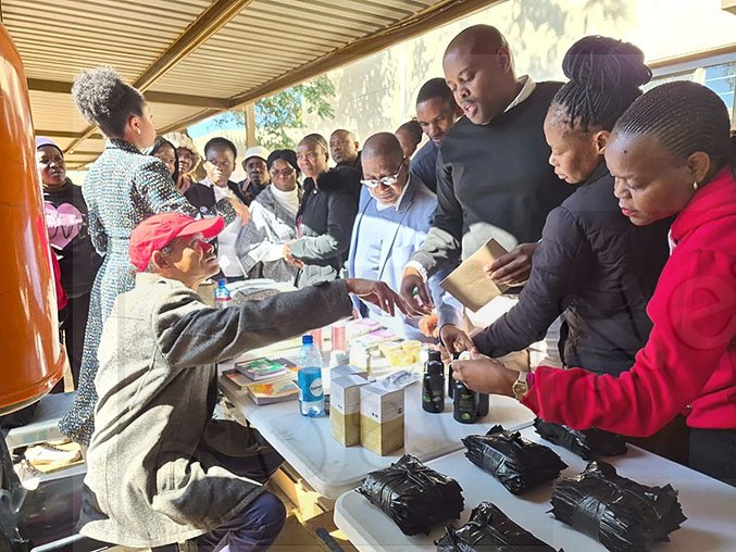 Moringa farming to be a