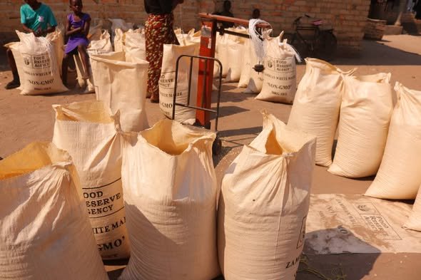 Government assures full maize purchase in Central...