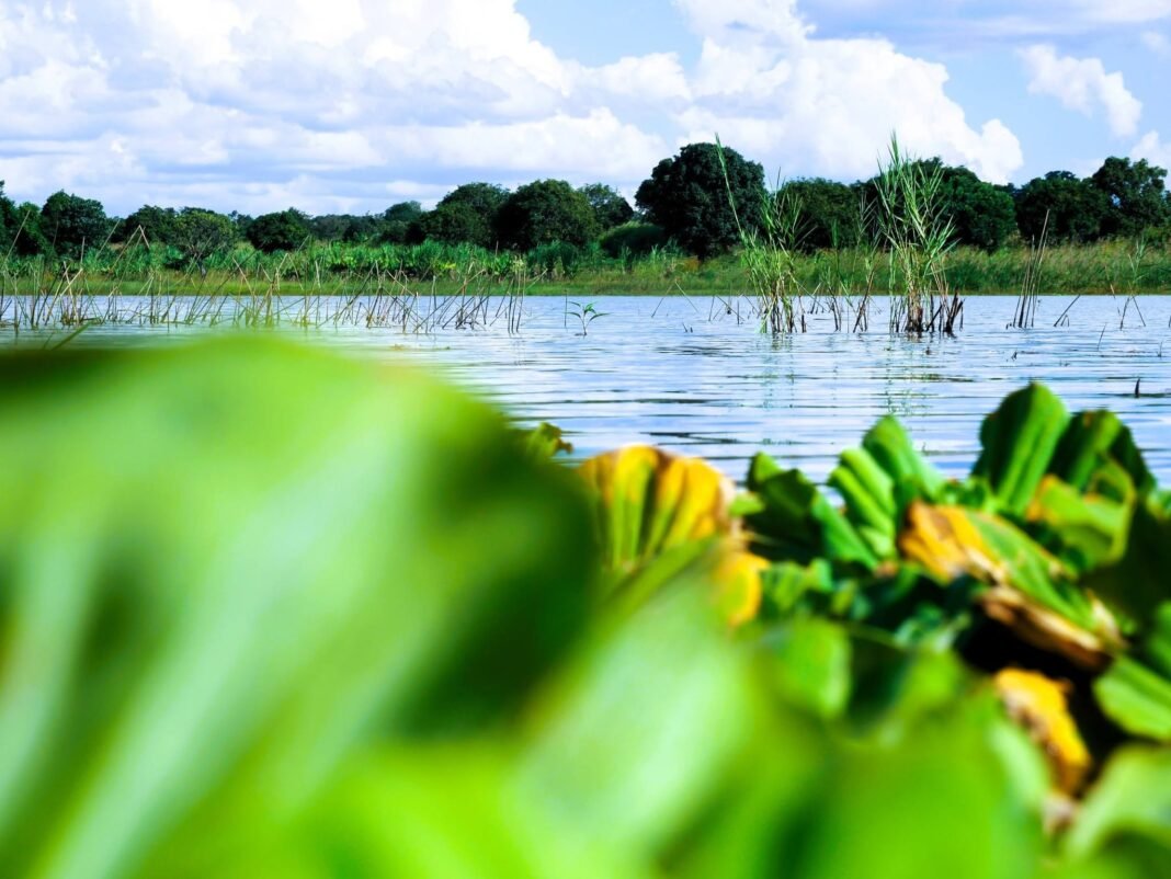 Govt. commissions two dams in Luangeni constituency