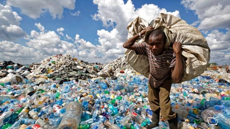 Waste Now Worth Stealing: Glen View Recycling Project Sparks Scramble for Discarded Material