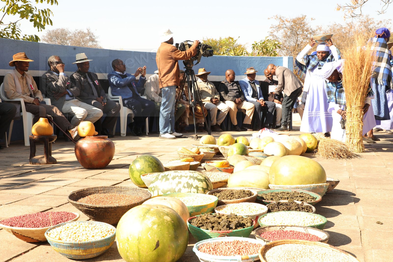 Mmandunyane celebrates harvest day