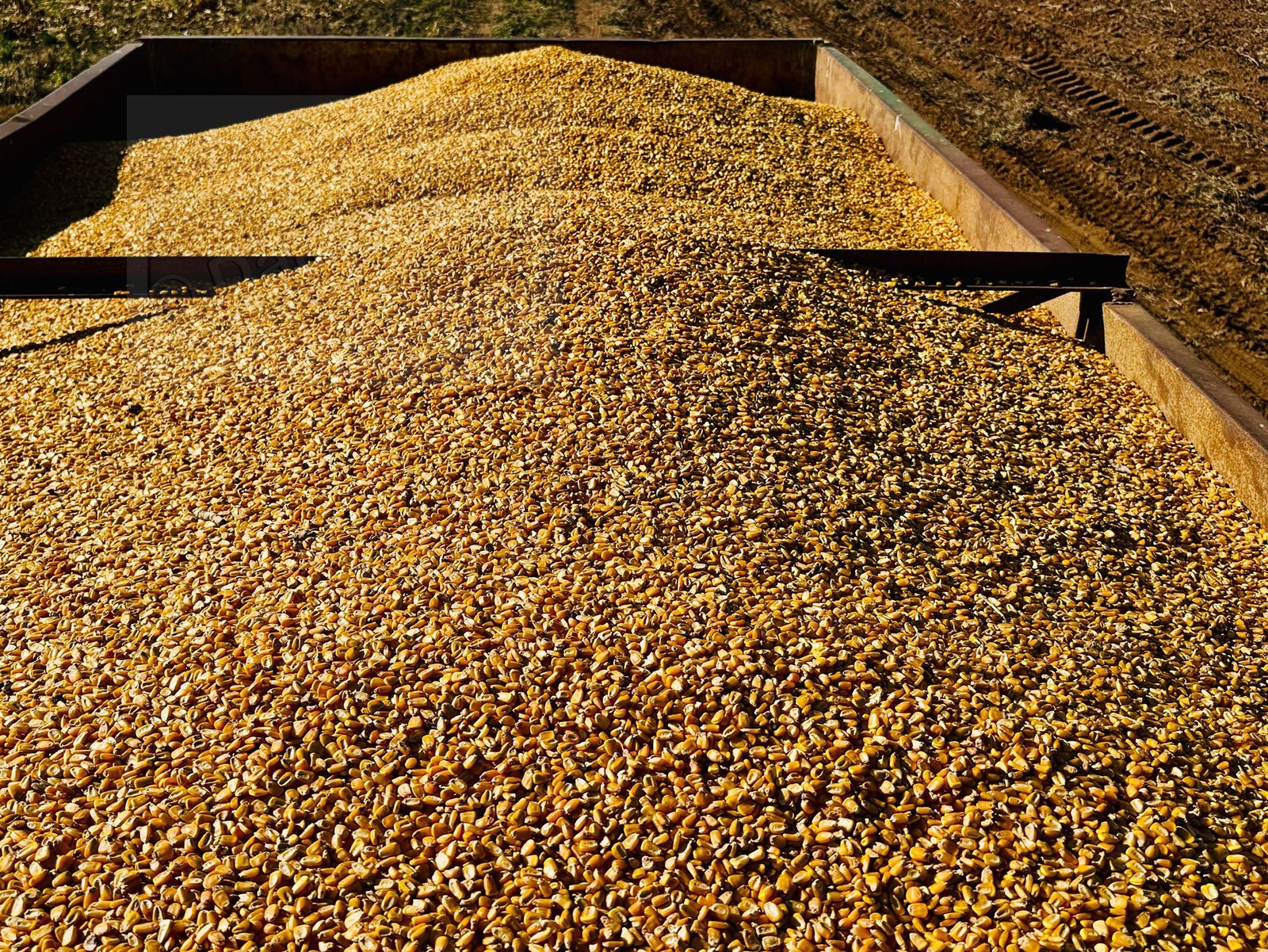 Dikoloti Advocates Smart Farming
