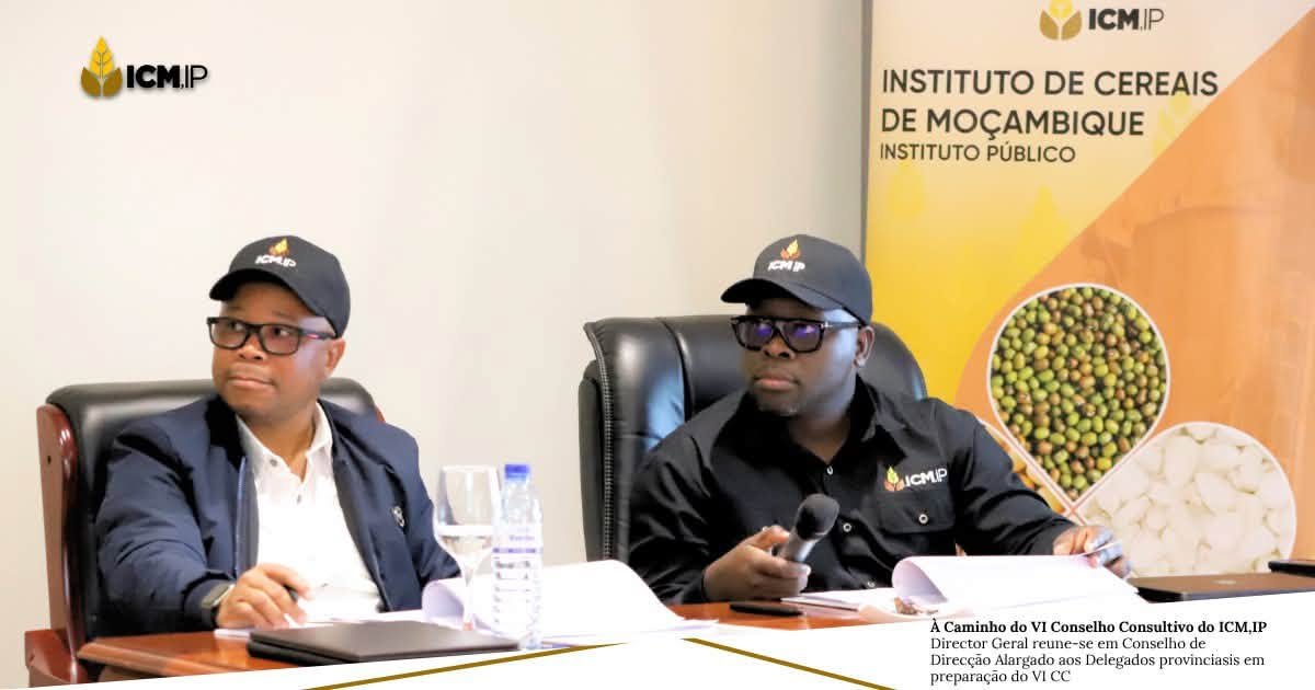 Mozambique Grain Institute outlines strategy to intervene as agricultural market buyer to protect small farmers