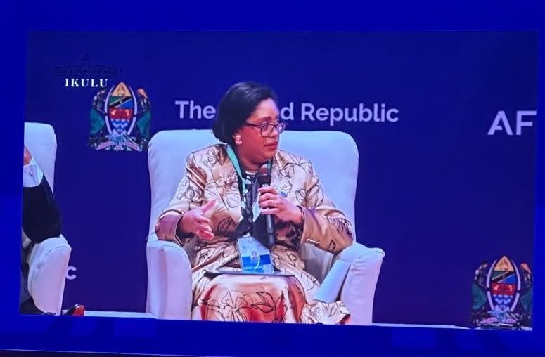 Mozambique presents energy potential at Africa50 Forum in Dar es Salaam