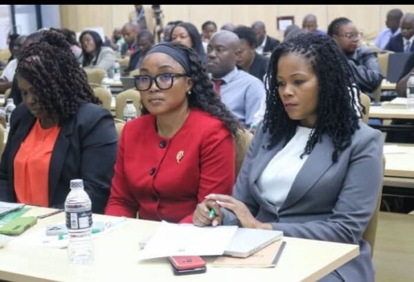 Minister challenges government spin doctors to get their act together and ‘sell’ Malawi’s development