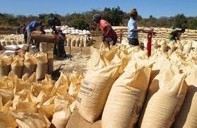 FRA depots bring relief To Lavushimanda maize...