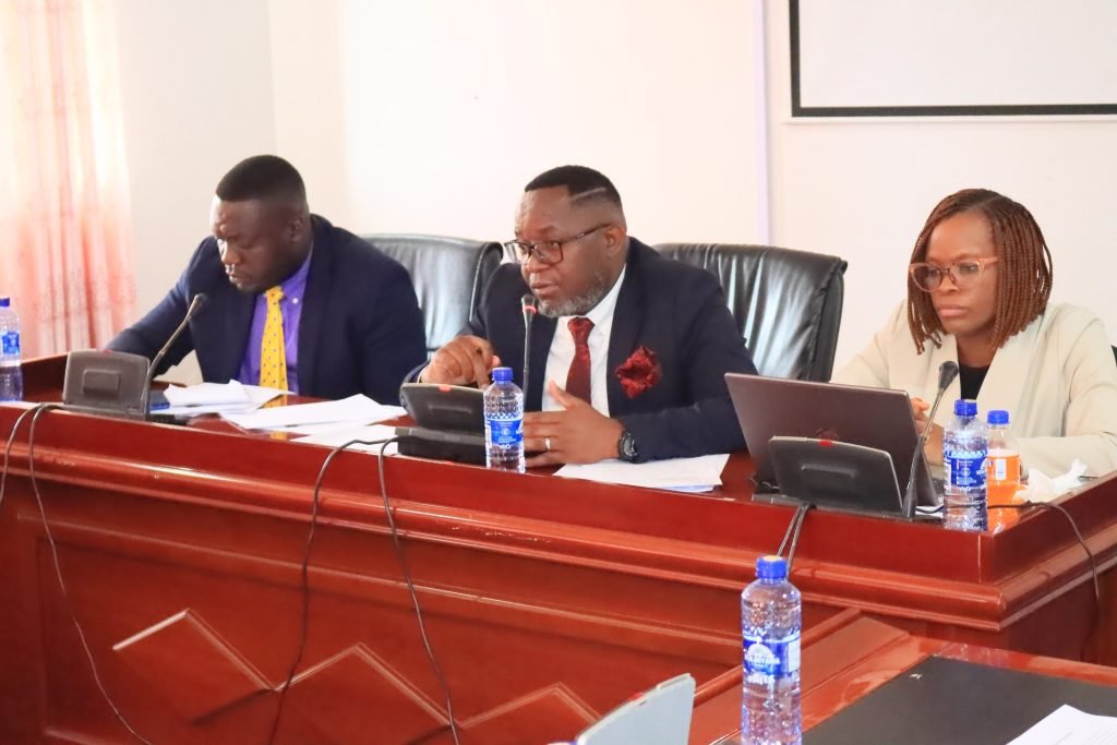 Parliament committee decries failure to act on audits