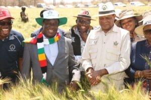 Protecting the Land Legacy of the Liberation Struggle: Nyanga Must Stand for War Veterans and Their Children